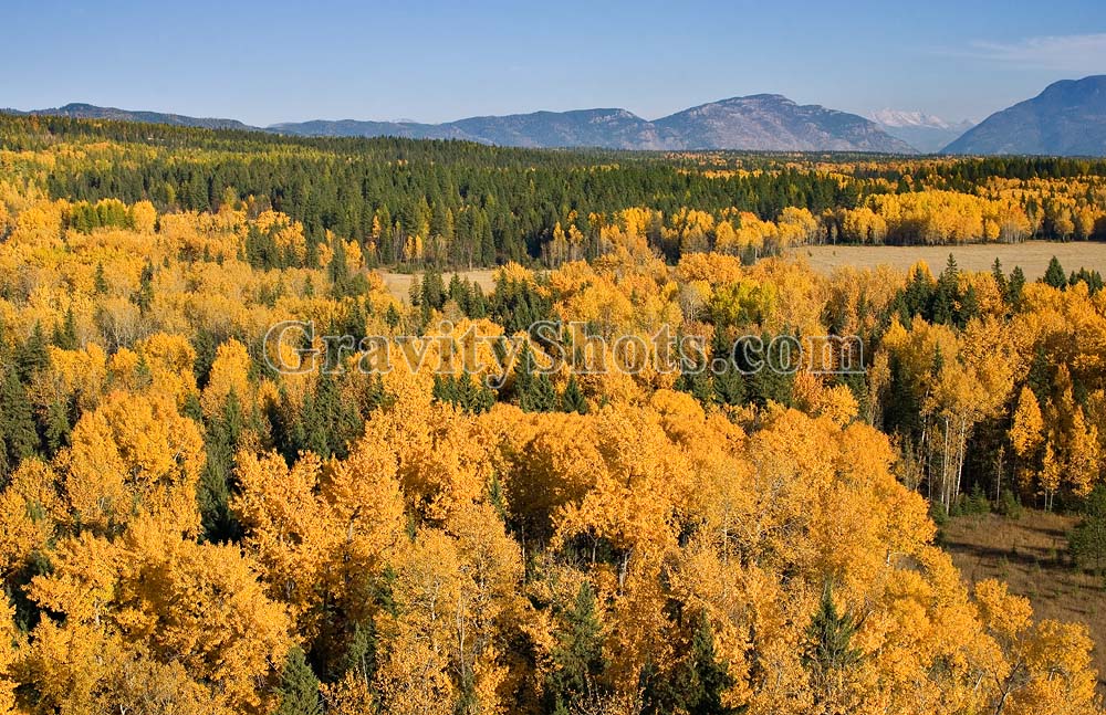 Whitefish, MT Fall Aerial