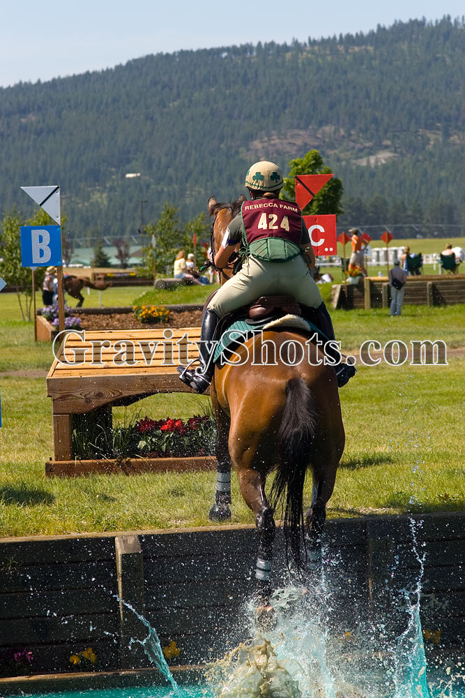 Kalispell, MT Summer Horses